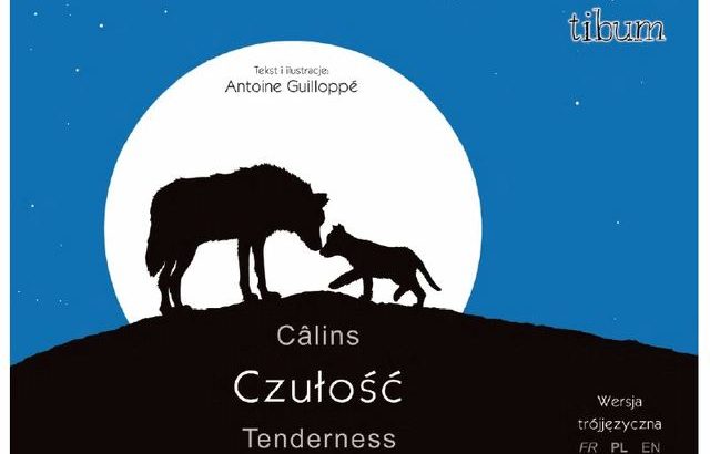 okładka książki czułość