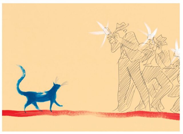 ilustracja z książki kotka milusia, pozuje błekitny kot fotografom
