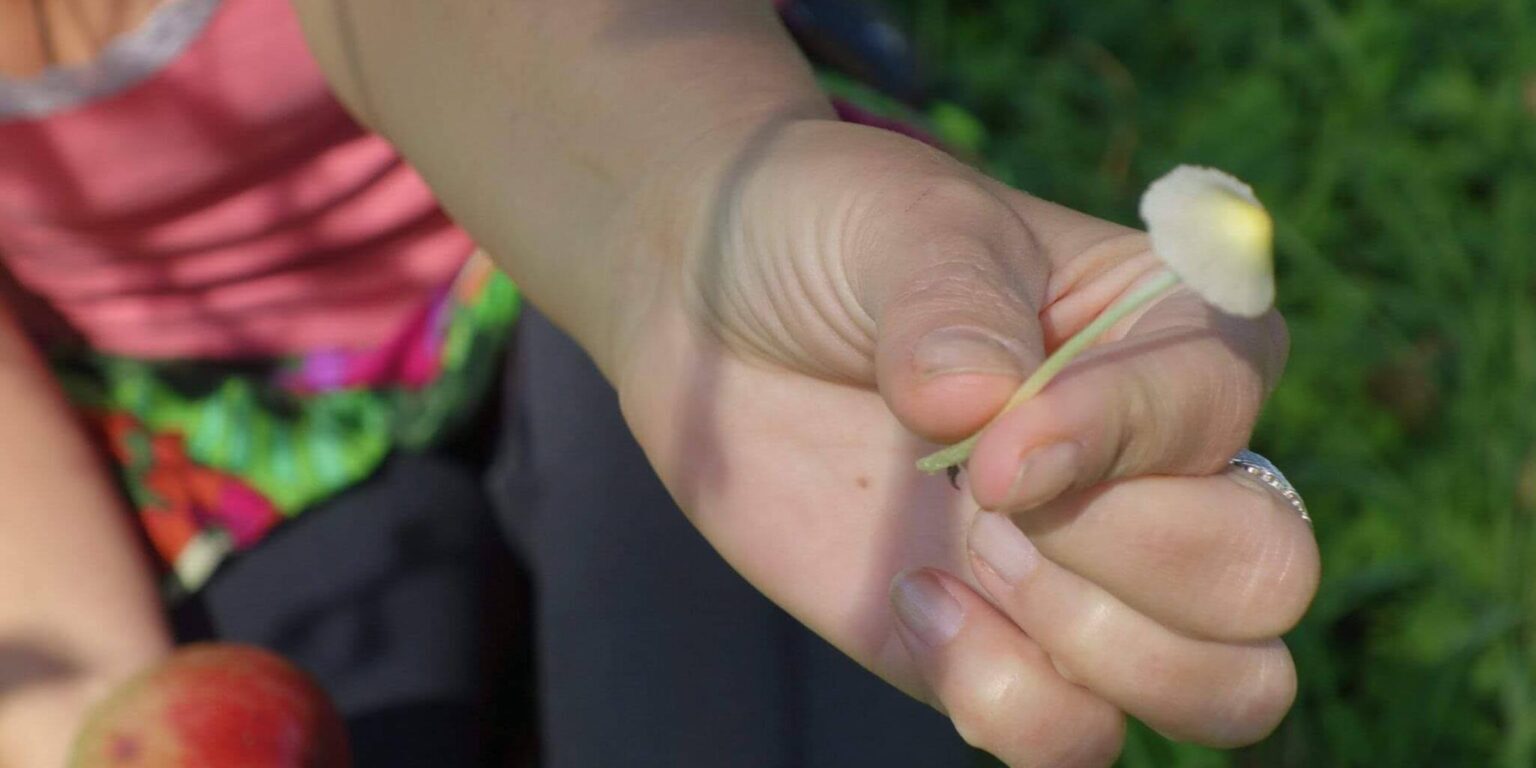 received_716389412171441